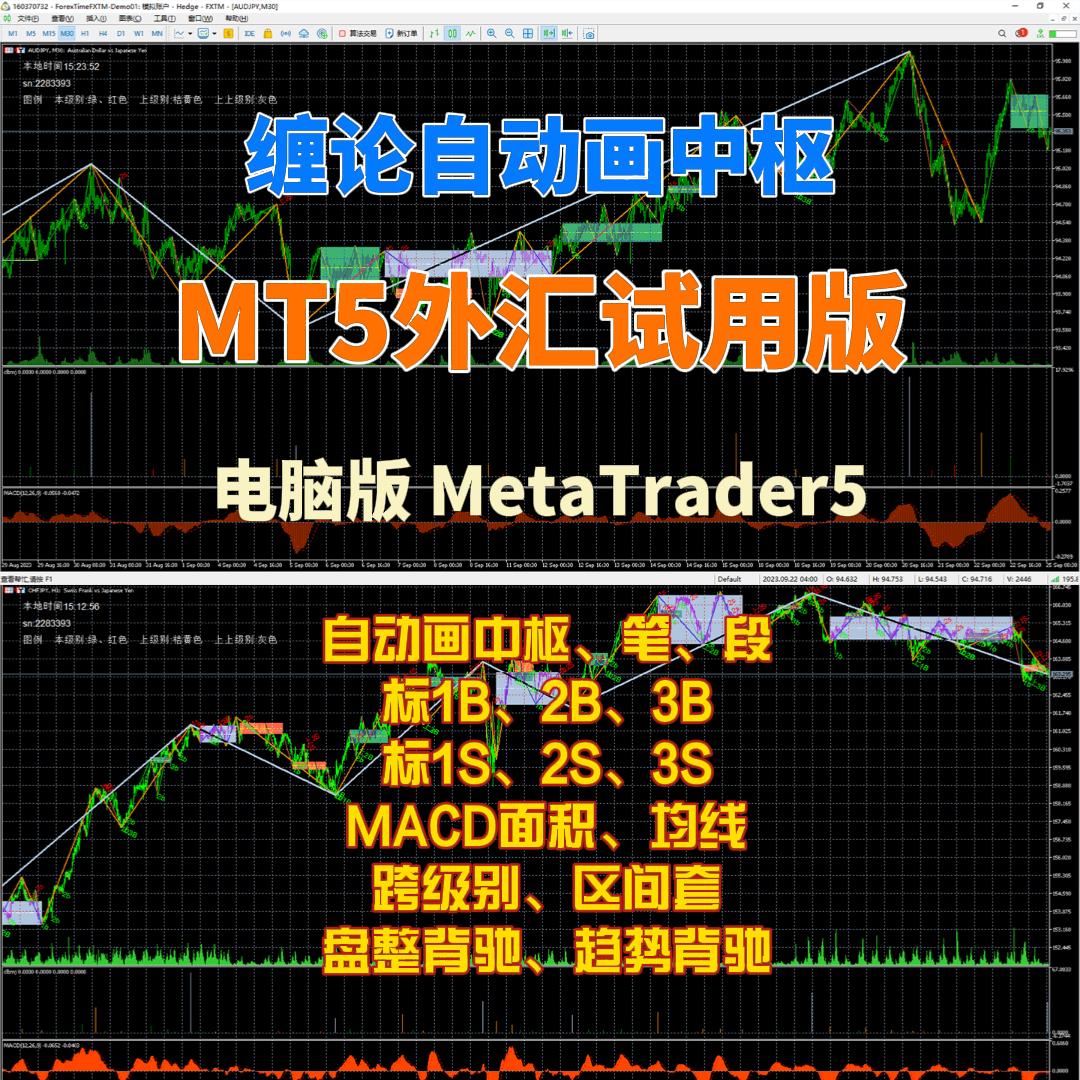 缠论MT5外汇试用版 10元